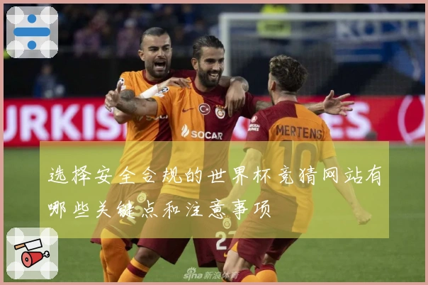 选择安全合规的世界杯竞猜网站有哪些关键点和注意事项