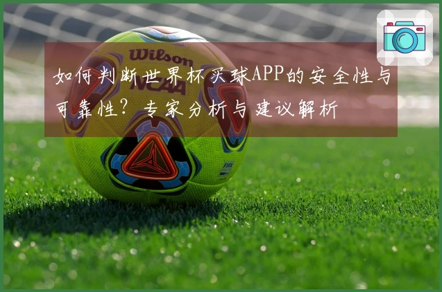 如何判断世界杯买球APP的安全性与可靠性？专家分析与建议解析